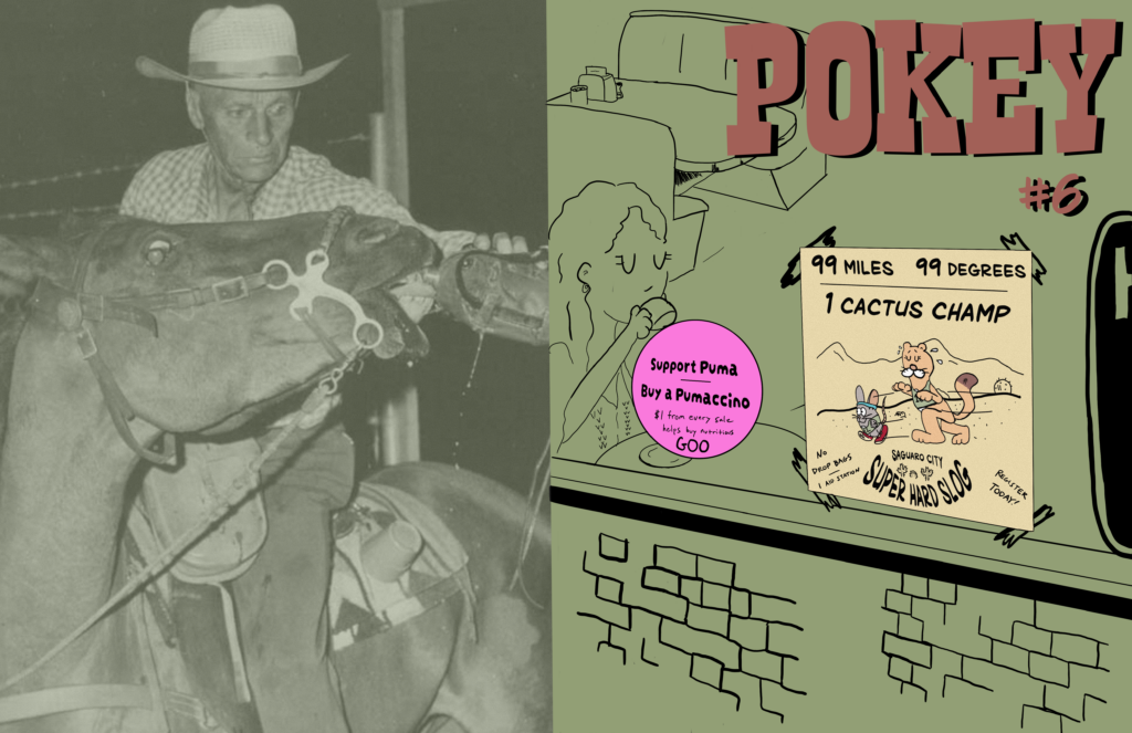 Pokey 6 Cover 1