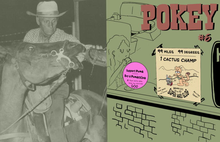 Pokey 6 Cover 1
