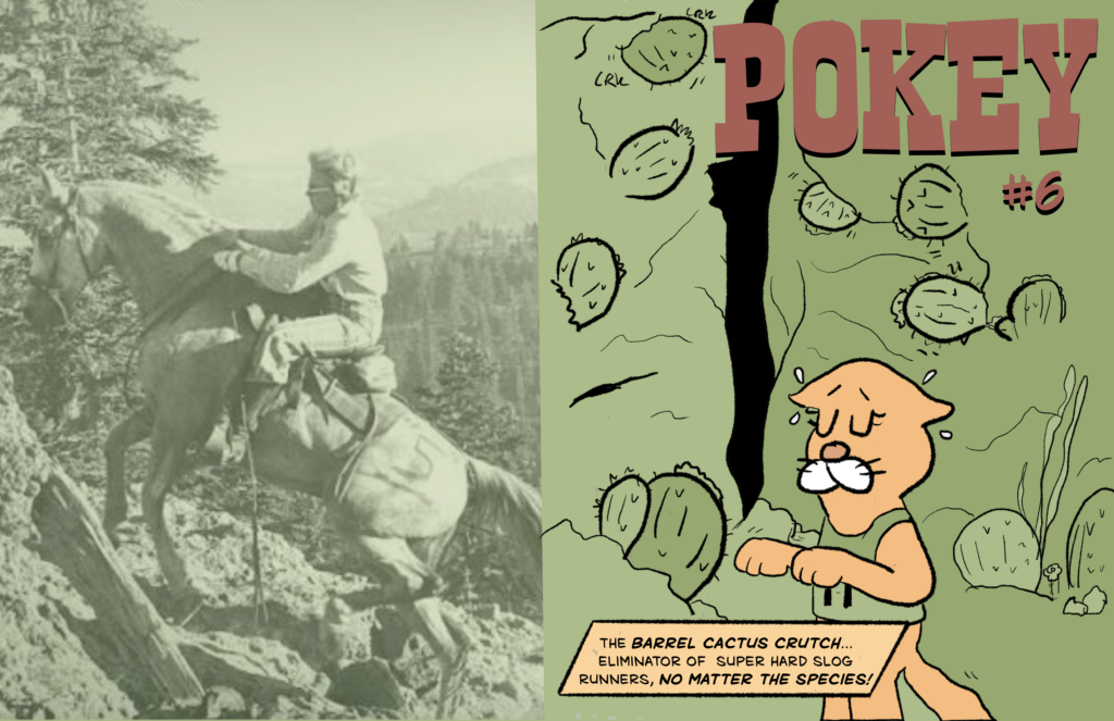 Pokey 6 Cover 2