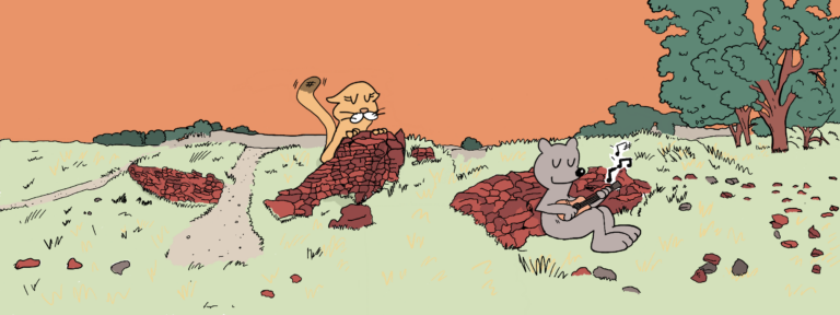 A puma and a bear hang out by a pond